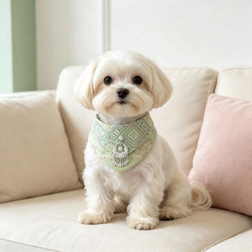 Hand-crafted Oriental Aesthetic Pet Bib, Fresh Light-Green Zhuang Brocade Collar with Ethnic Silver Tassel Charm for Cats & Small Dogs